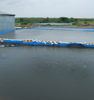 Osian Marine Chemicals Pvt Ltd.